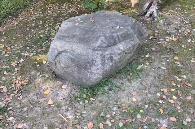ǾĹЧǾĹЧͽ