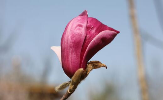 ӢQȾҕܓp,Ӣ(gu)Ⱥwָʲô